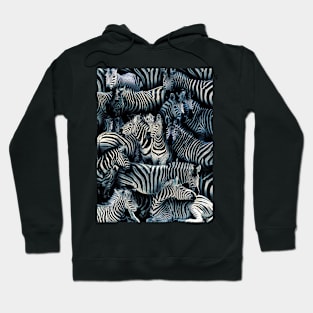 Zebras Hoodie